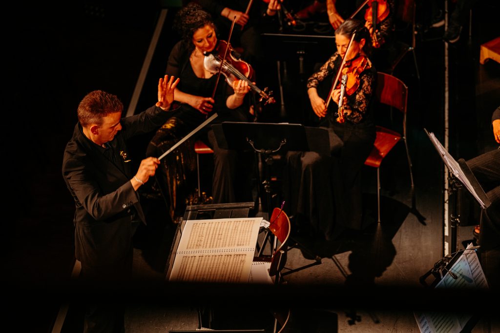 20250405 m ammann tonh wil lsd 80042